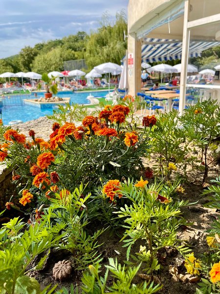 Holiday Park & Spa 10