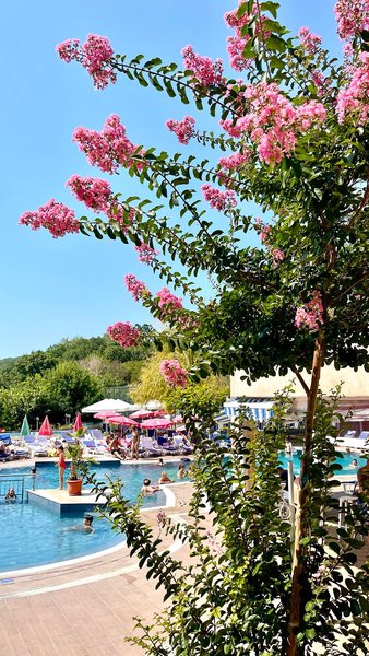 Holiday Park & Spa 2