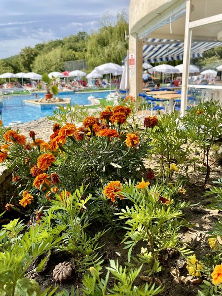 BSA Holiday Park Hotel 3