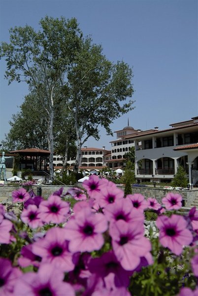 Helena Park 8