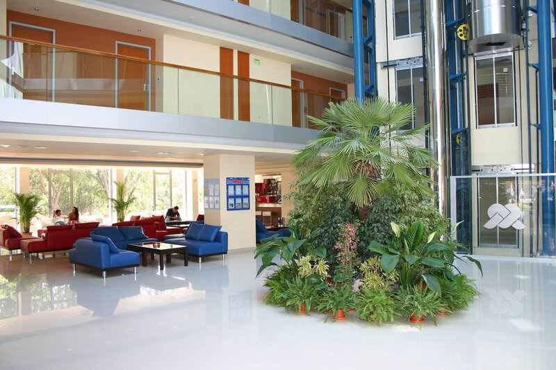 Sol Marina Palace 71