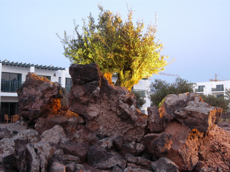 Hotel Las Marismas de Corralejo 10