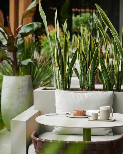 Maxx Royal Bodrum Resort 214