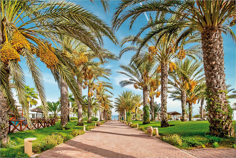 SENTIDO Palm Azur  8