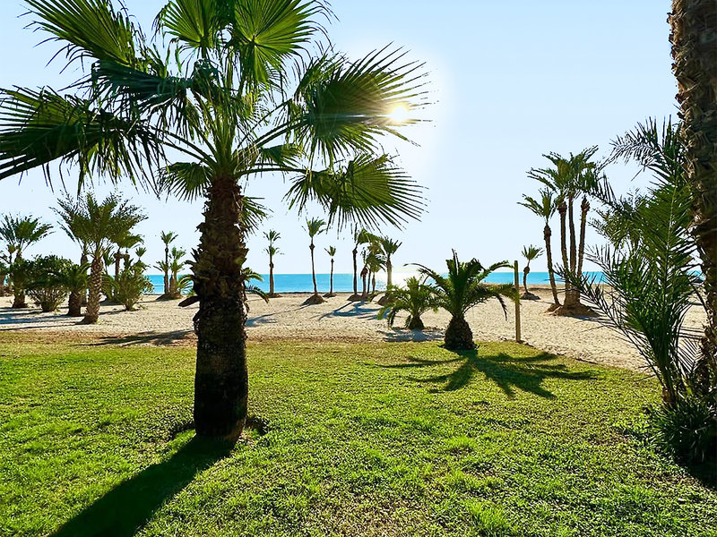 SENTIDO Palm Azur  1