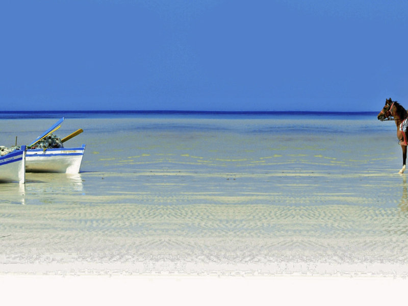lti Djerba Plaza Thalasso & Spa 4