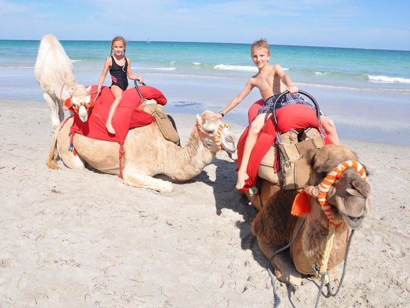 lti Djerba Plaza Thalasso & Spa 36