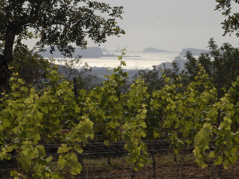 Can Lluc Boutique Country Hotel & Villas 10