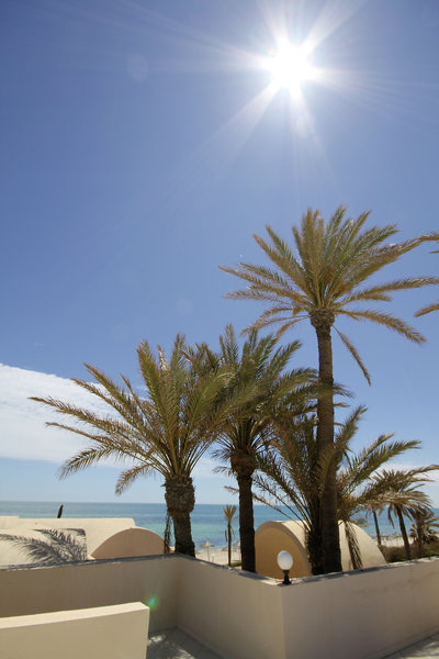 Zita Beach Resort 22