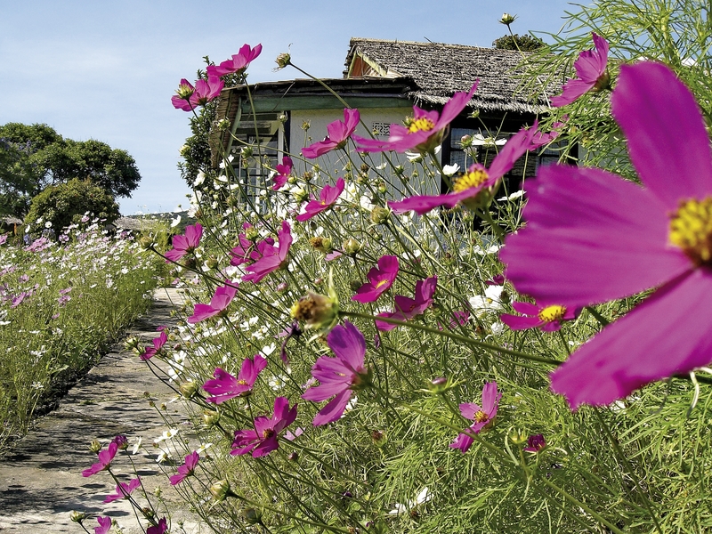 Elewana Arusha Coffee Lodge