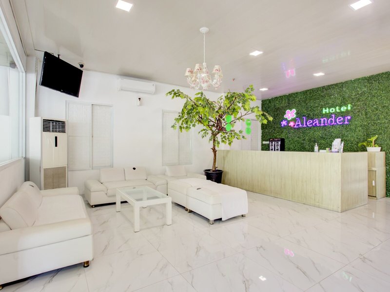 Super OYO Capital O 4002 Aleander Hotel 3