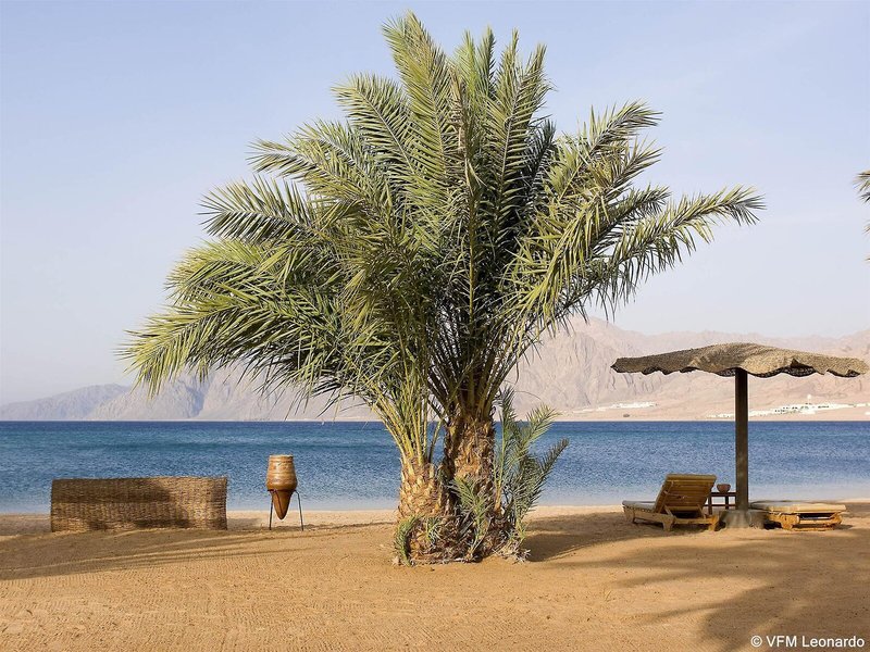 Tirana Dahab Resort  5