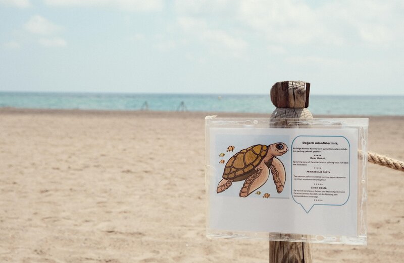 Crystal Paraiso Verde Resort & Spa 68