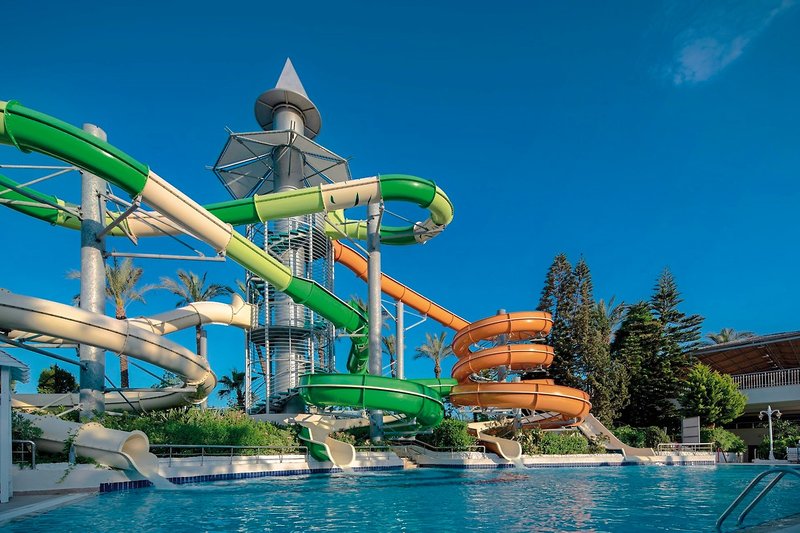 Delphin Diva 12