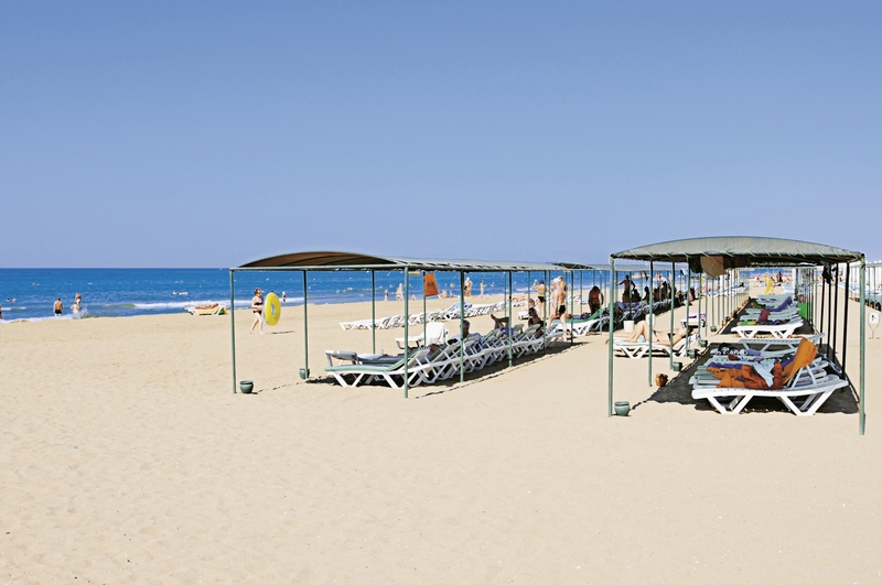 PrimaSol Hane Family 13