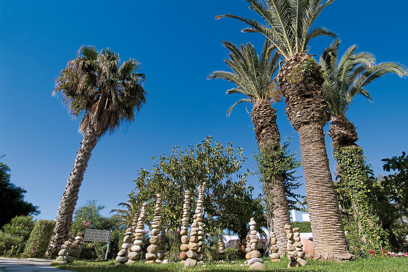 Les Orangers Beach Resort 3