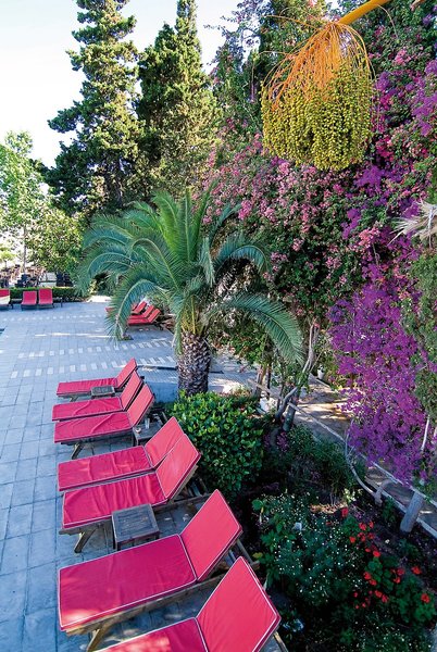 Les Orangers Beach Resort 23