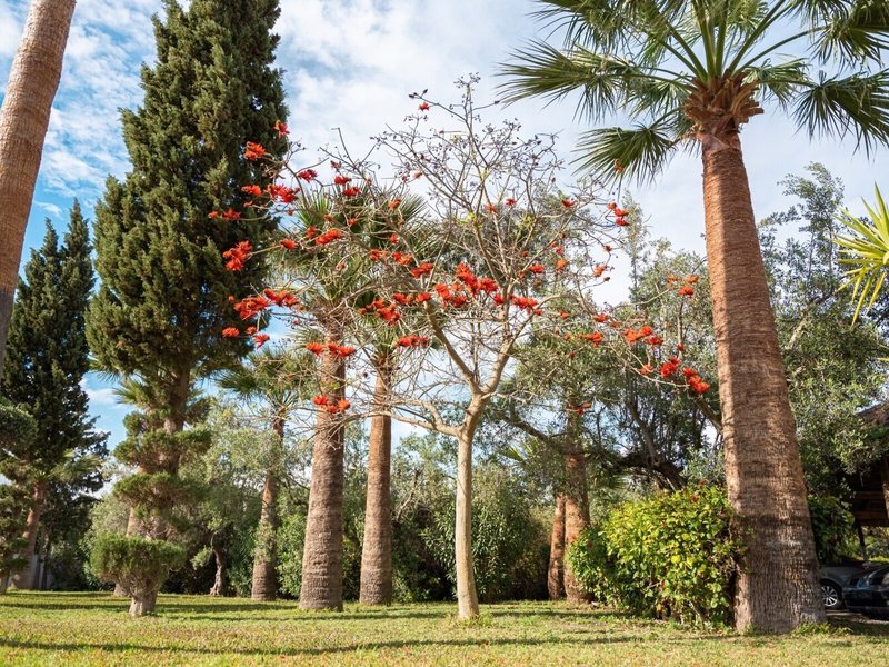 Hammamet Garden Resort & Spa 6