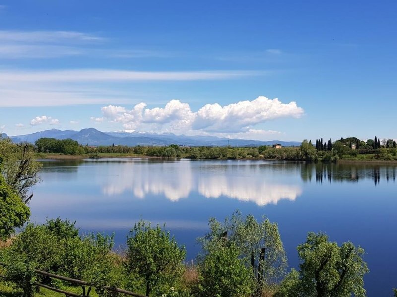 Le Ali del Frassino 14