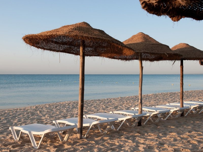 Sentido Phenicia 5