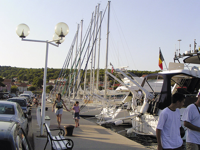 Borovnik 4