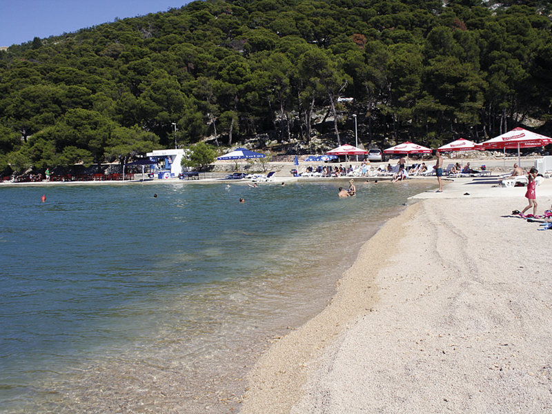 Borovnik 5