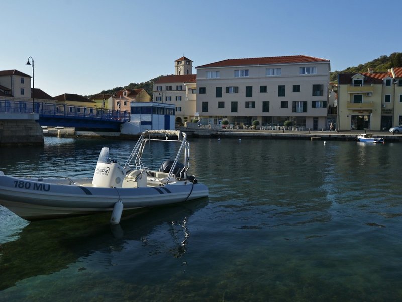 Borovnik 20