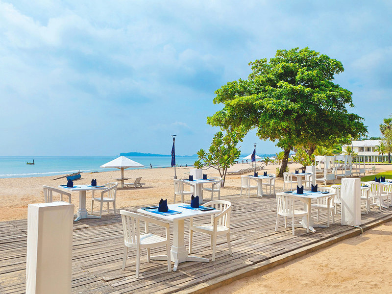 Trinco Blu by Cinnamon 6