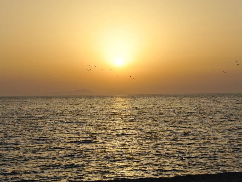Heleni Beach Hotel 4