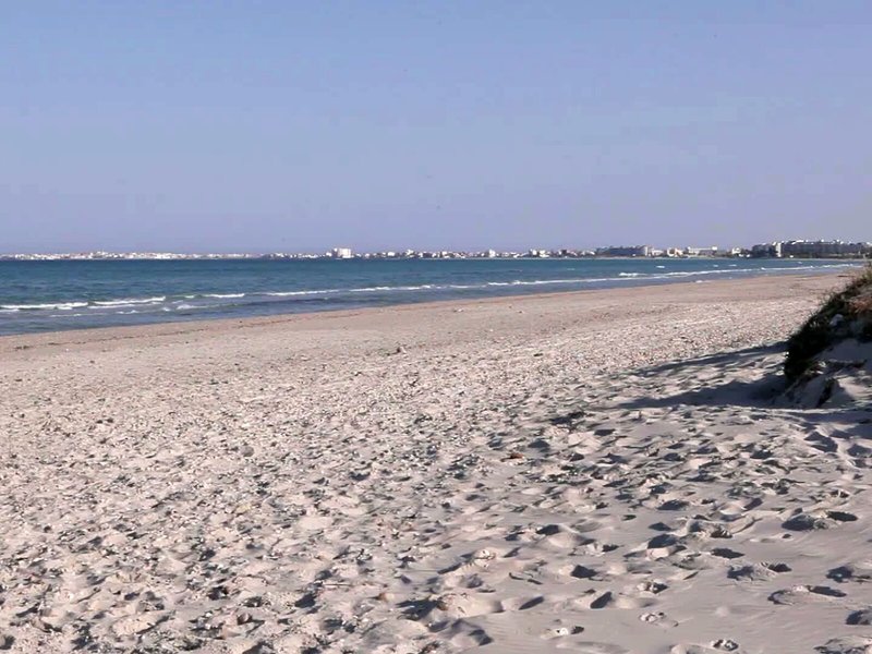 Thapsus Beach Resort 6