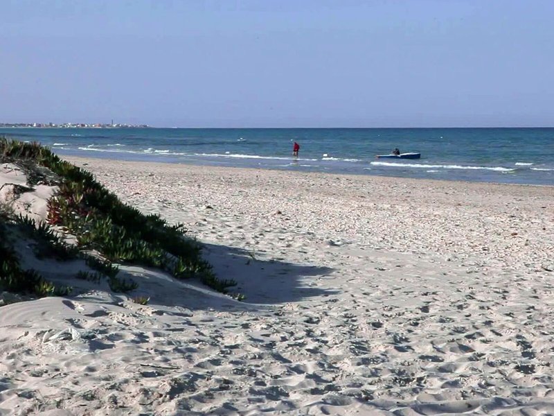 Thapsus Beach Resort 8