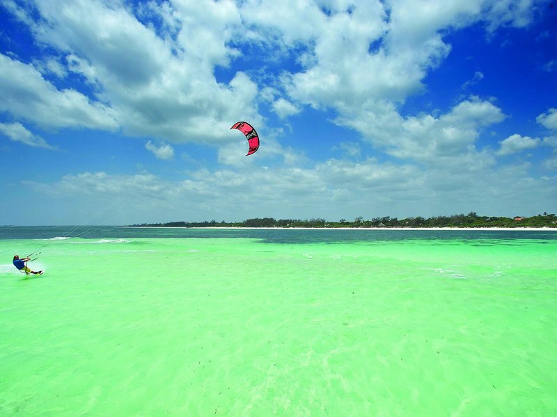 Medina Palms 3