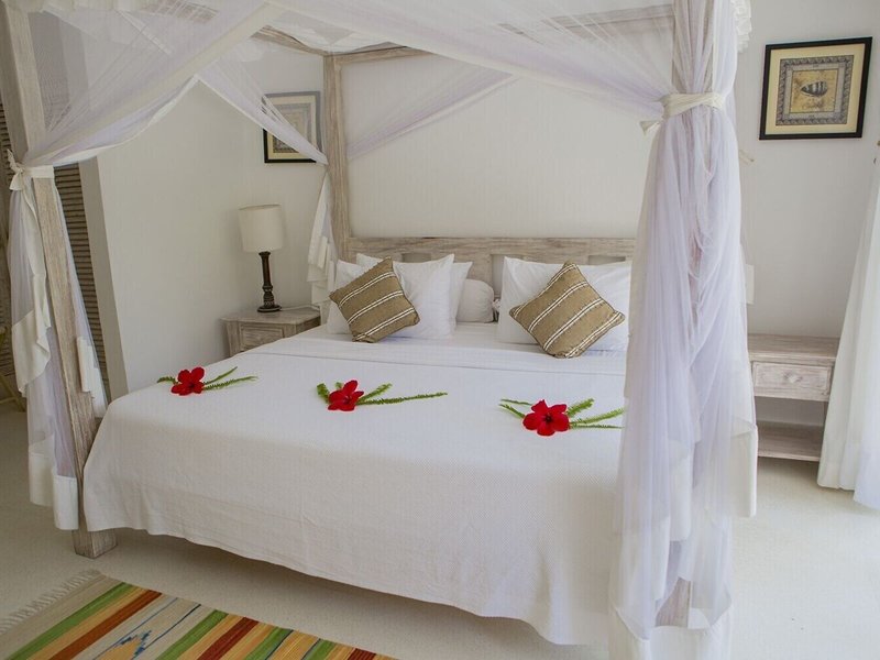 Medina Palms 23