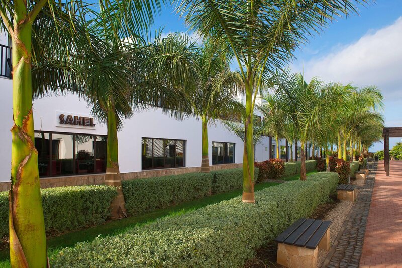 Meliá Dunas Beach Resort & Spa 51