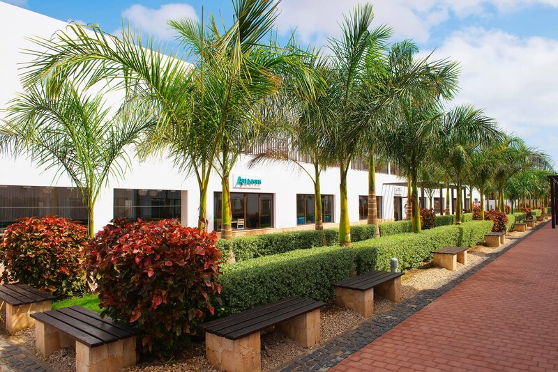 Meliá Dunas Beach Resort & Spa 53