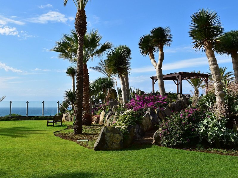 Pestana Grand Premium Ocean Resort 10