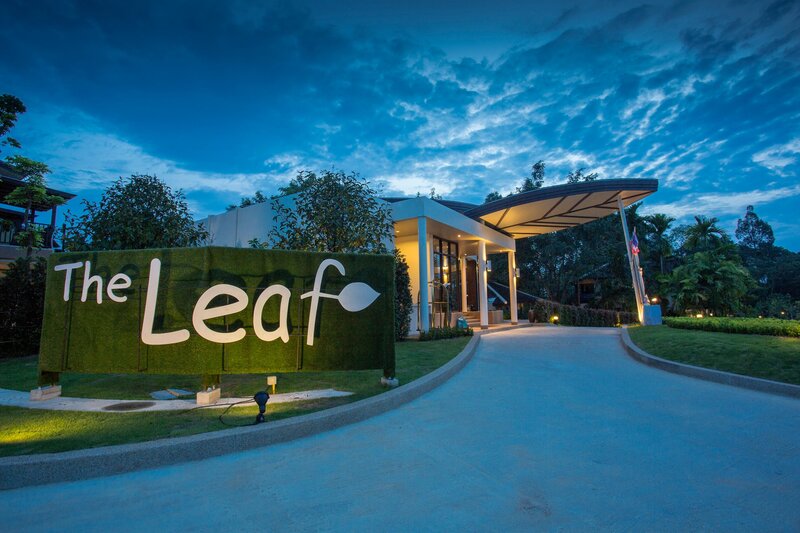 The Leaf on The Sands 41