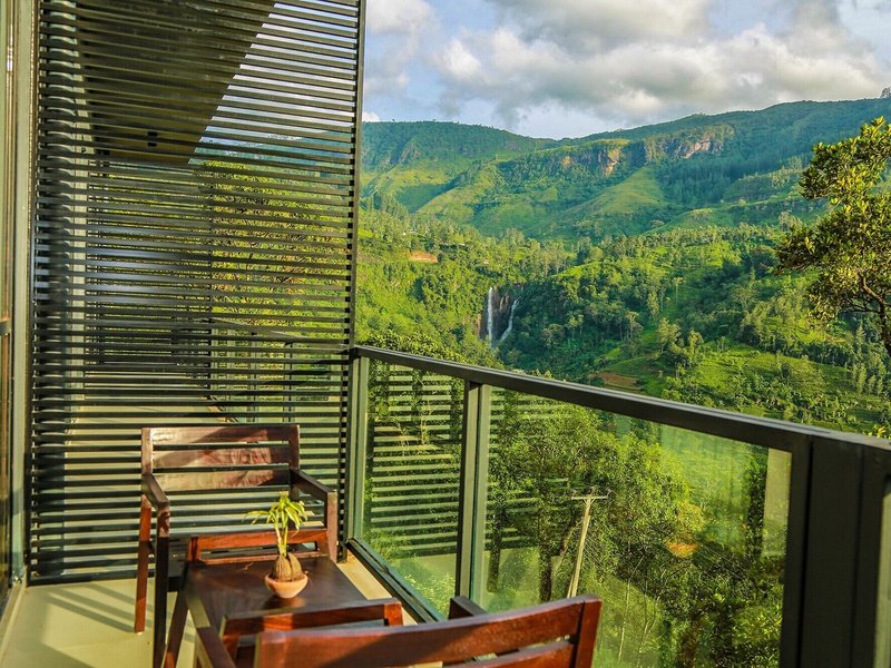 Oak Ray Tea Bush Ramboda 2