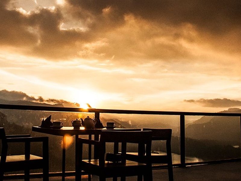 Oak Ray Tea Bush Ramboda 7