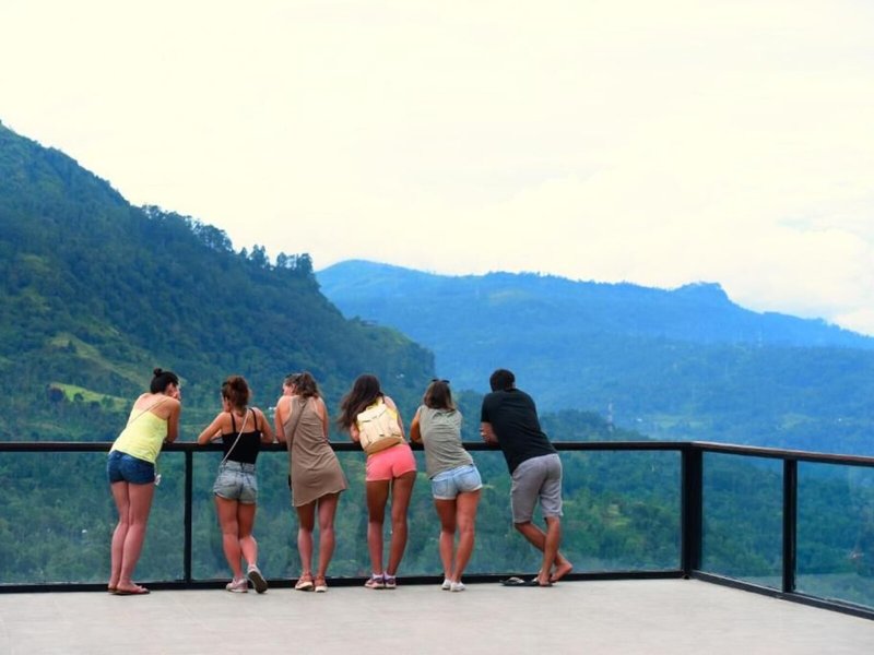 Oak Ray Tea Bush Ramboda 8