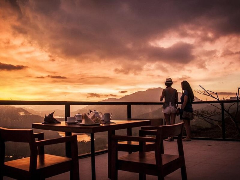 Oak Ray Tea Bush Ramboda 14