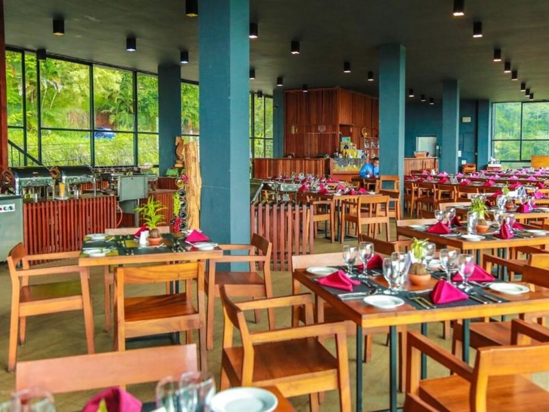 Oak Ray Tea Bush Ramboda 16