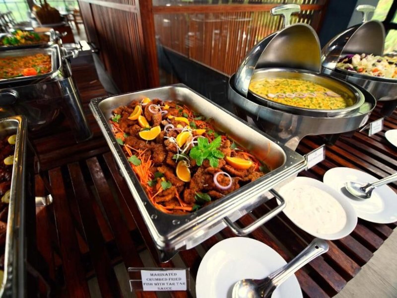 Oak Ray Tea Bush Ramboda 17