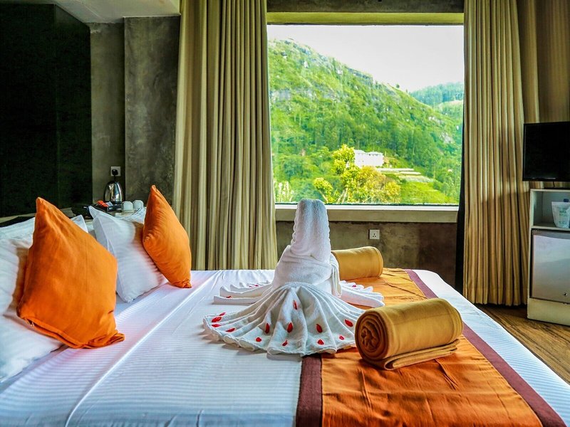 Oak Ray Tea Bush Ramboda 18