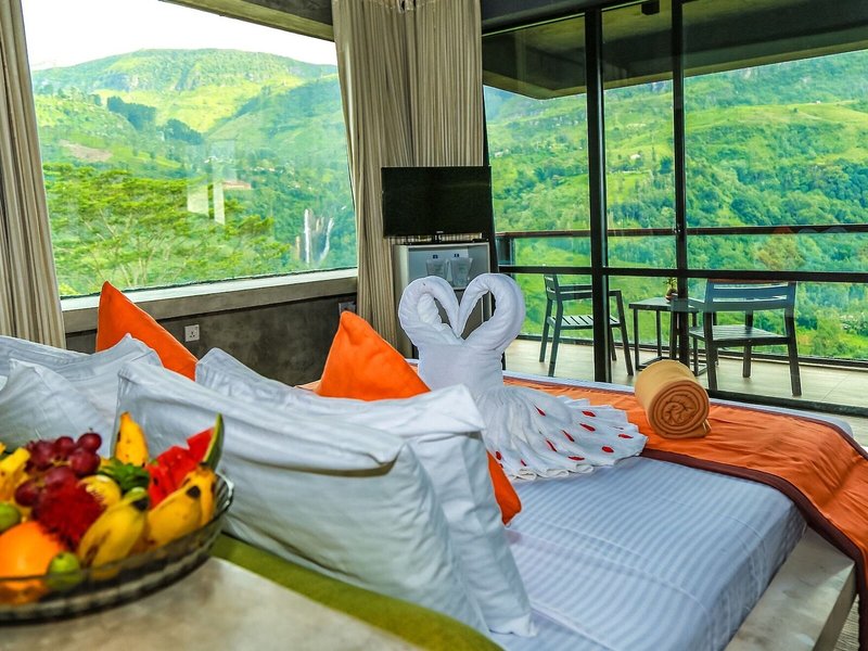 Oak Ray Tea Bush Ramboda 21