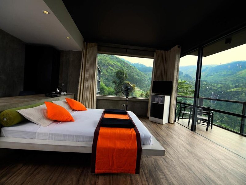 Oak Ray Tea Bush Ramboda 23