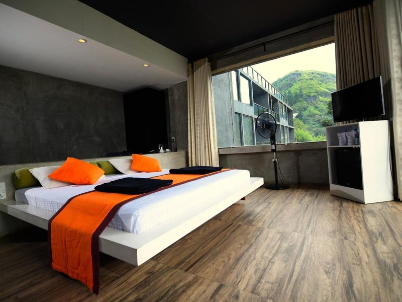 Oak Ray Tea Bush Ramboda 24