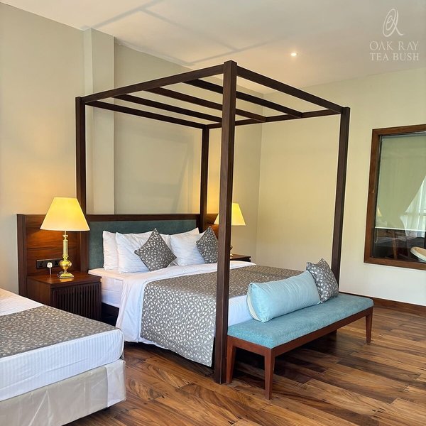 Oak Ray Tea Bush Ramboda 29