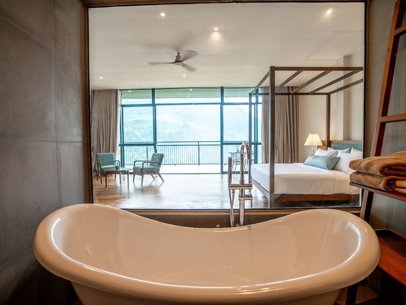 Oak Ray Tea Bush Ramboda 30