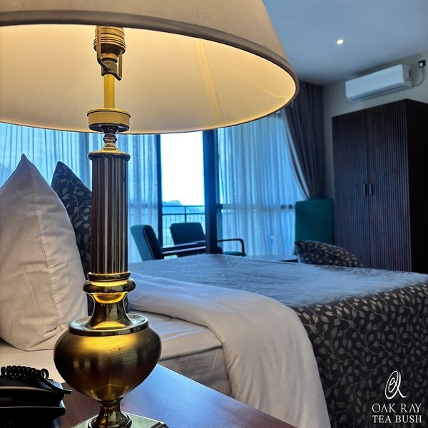 Oak Ray Tea Bush Ramboda 32